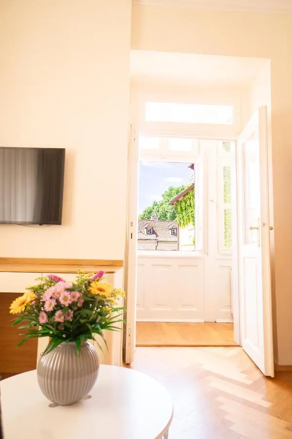 Residence Dvorak Prag Daire